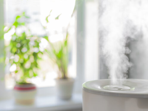 Indoor Air Quality Humidifiers in San Marcos, CA